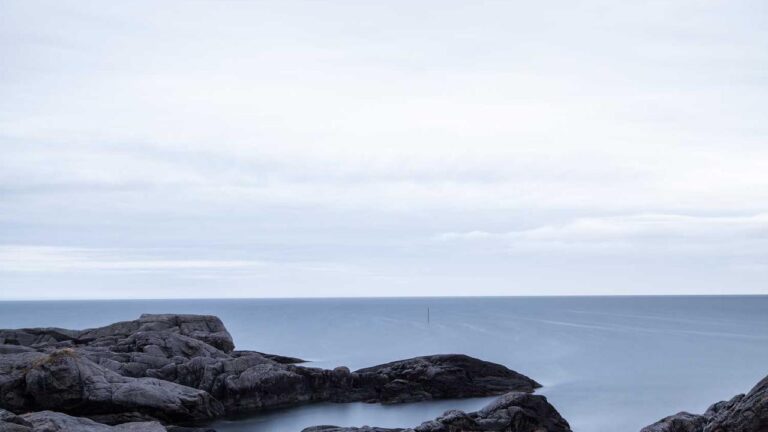 What Is The 11Xplay Helpline Number For India?